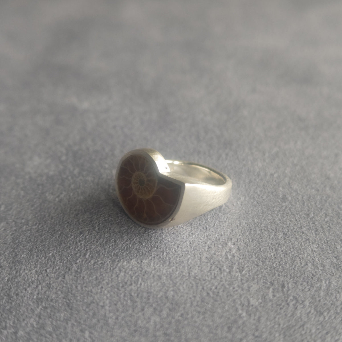 No.0034 Ammonite Signet Ring #7
