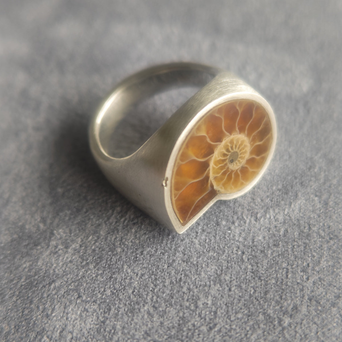 No.0034 Ammonite Signet Ring #7