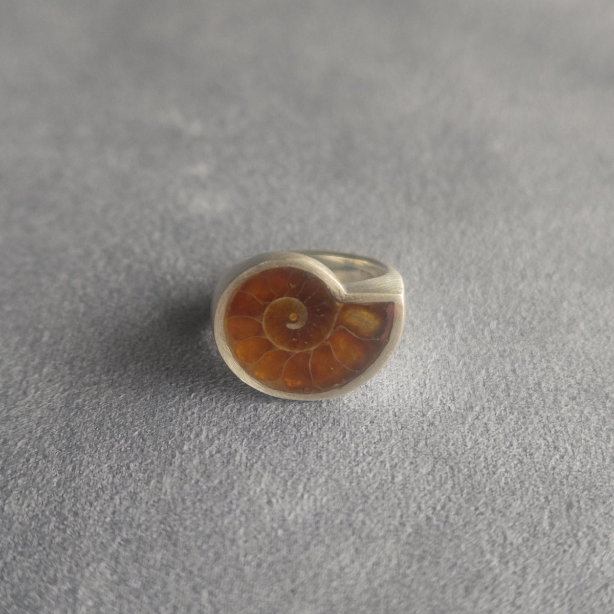 No.0035 Ammonite Signet Ring #9
