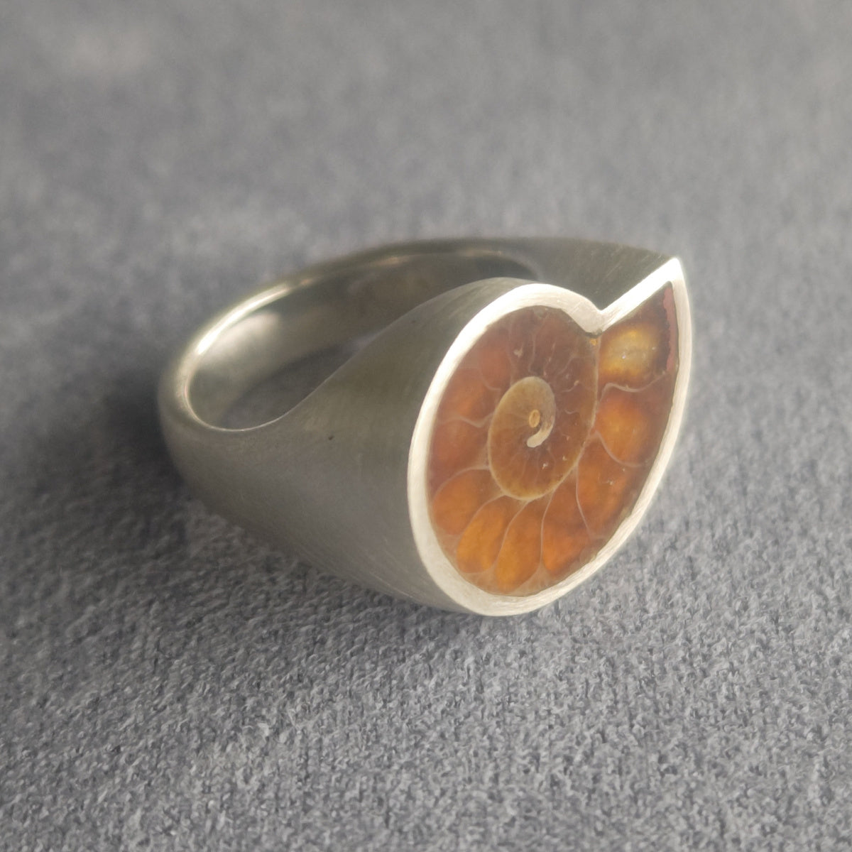 No.0035 Ammonite Signet Ring #9