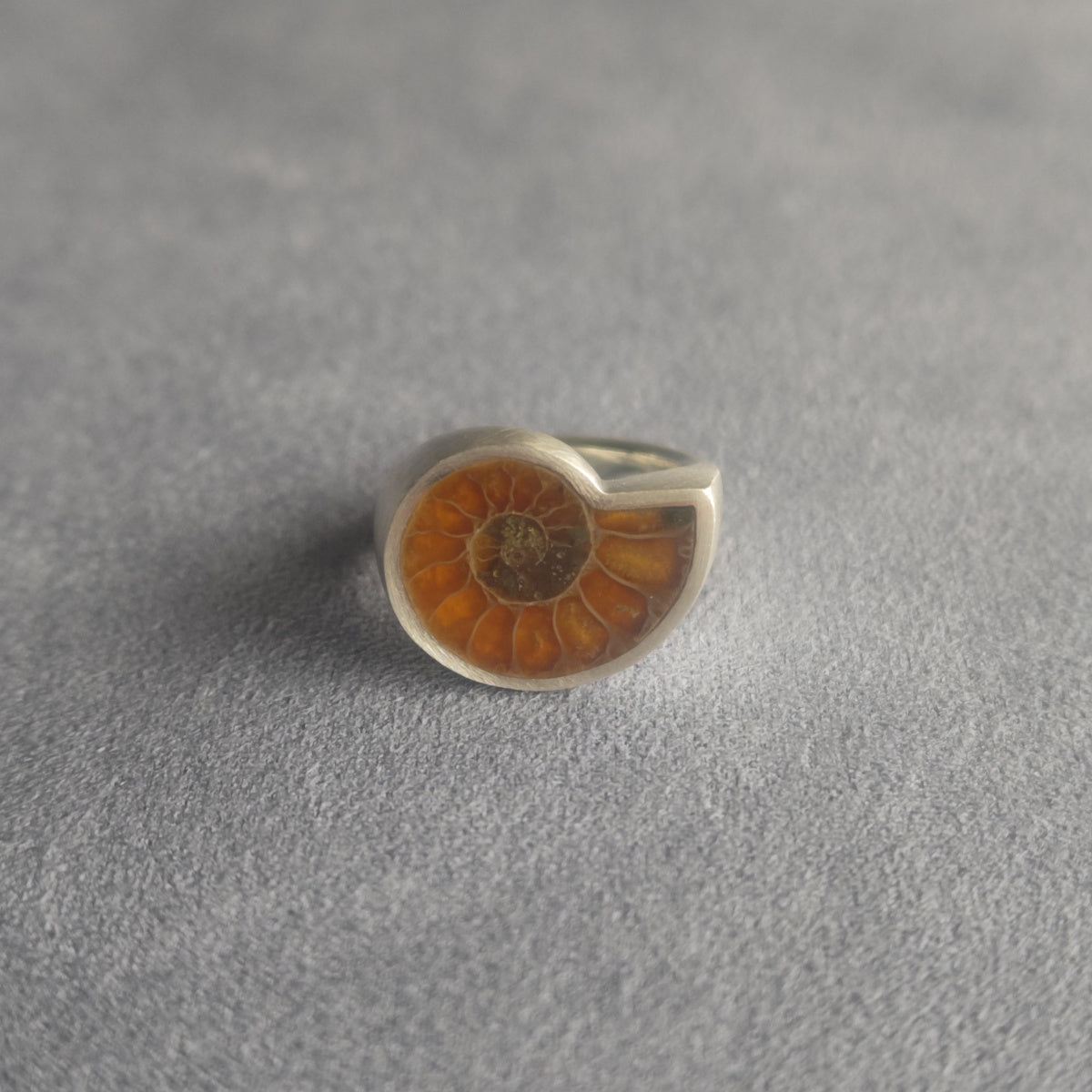 No.0036 Ammonite Signet Ring #10