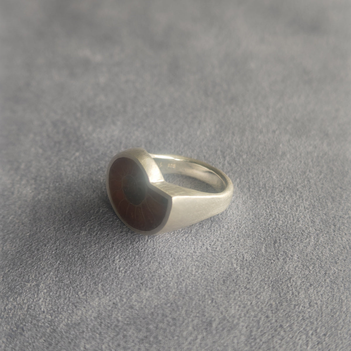 No.0036 Ammonite Signet Ring #10
