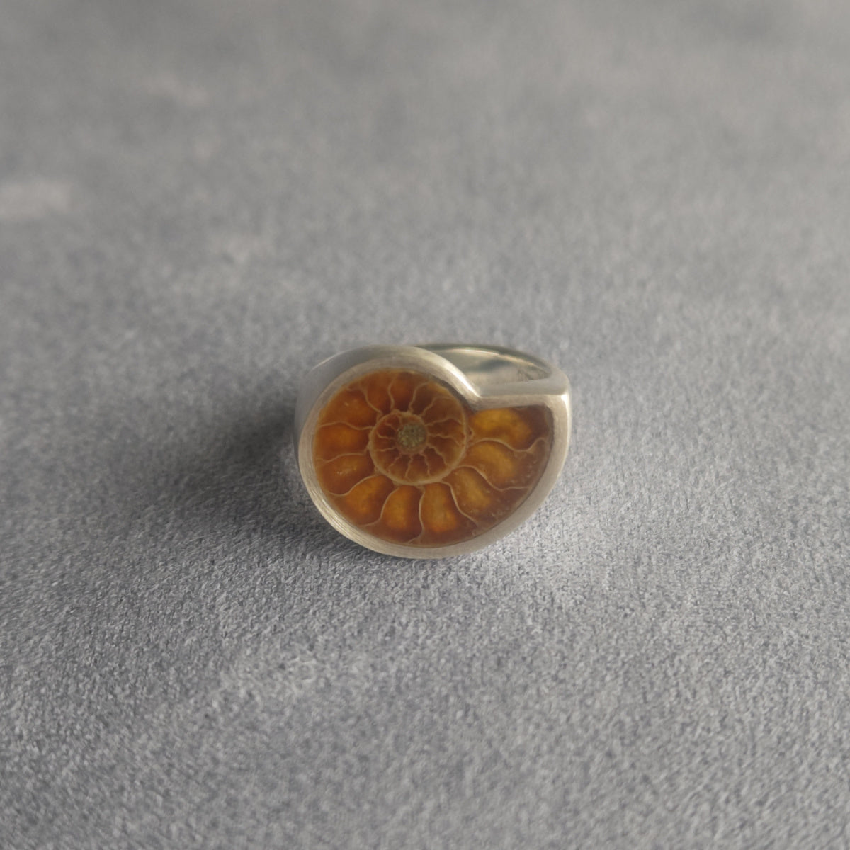 No.0037 Ammonite Signet Ring #11
