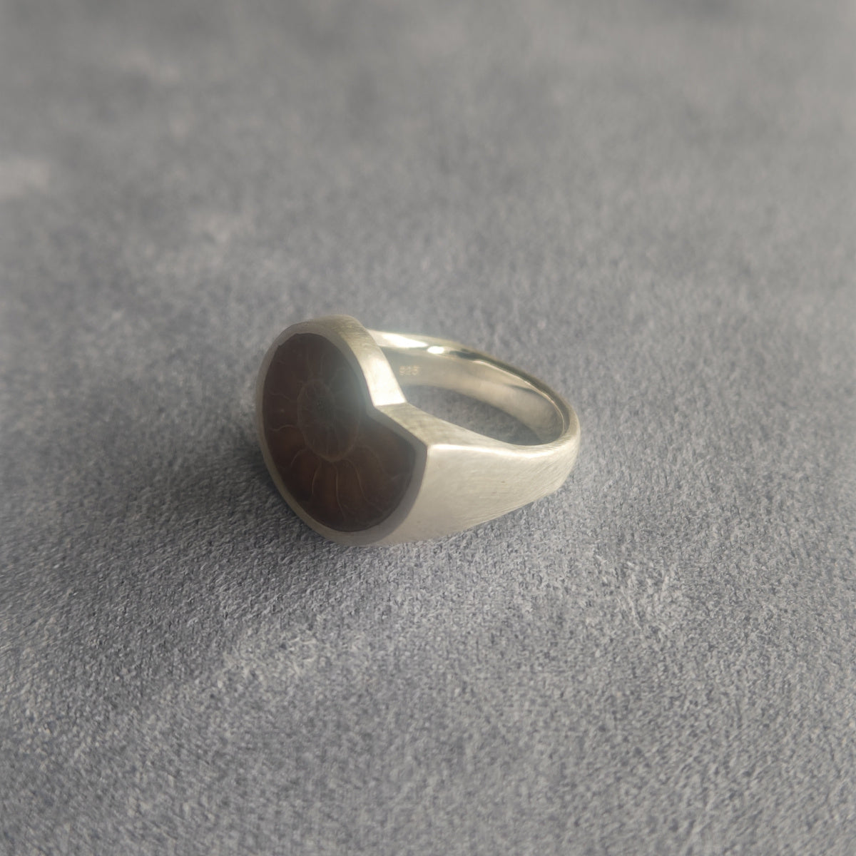 No.0037 Ammonite Signet Ring #11