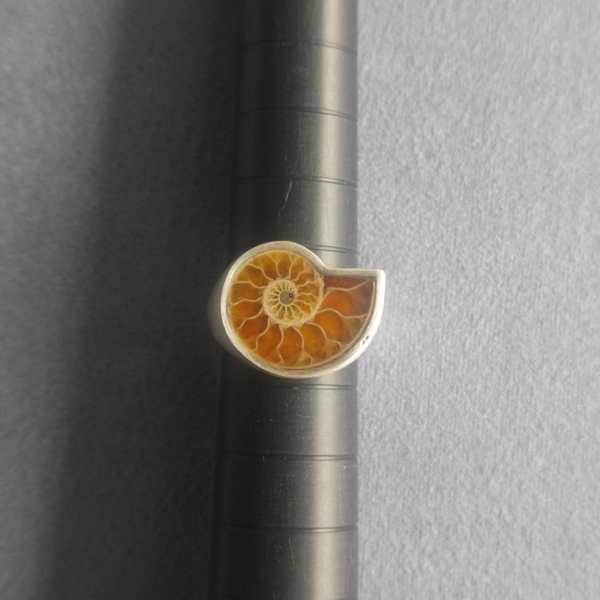 No.0034 Ammonite Signet Ring #7