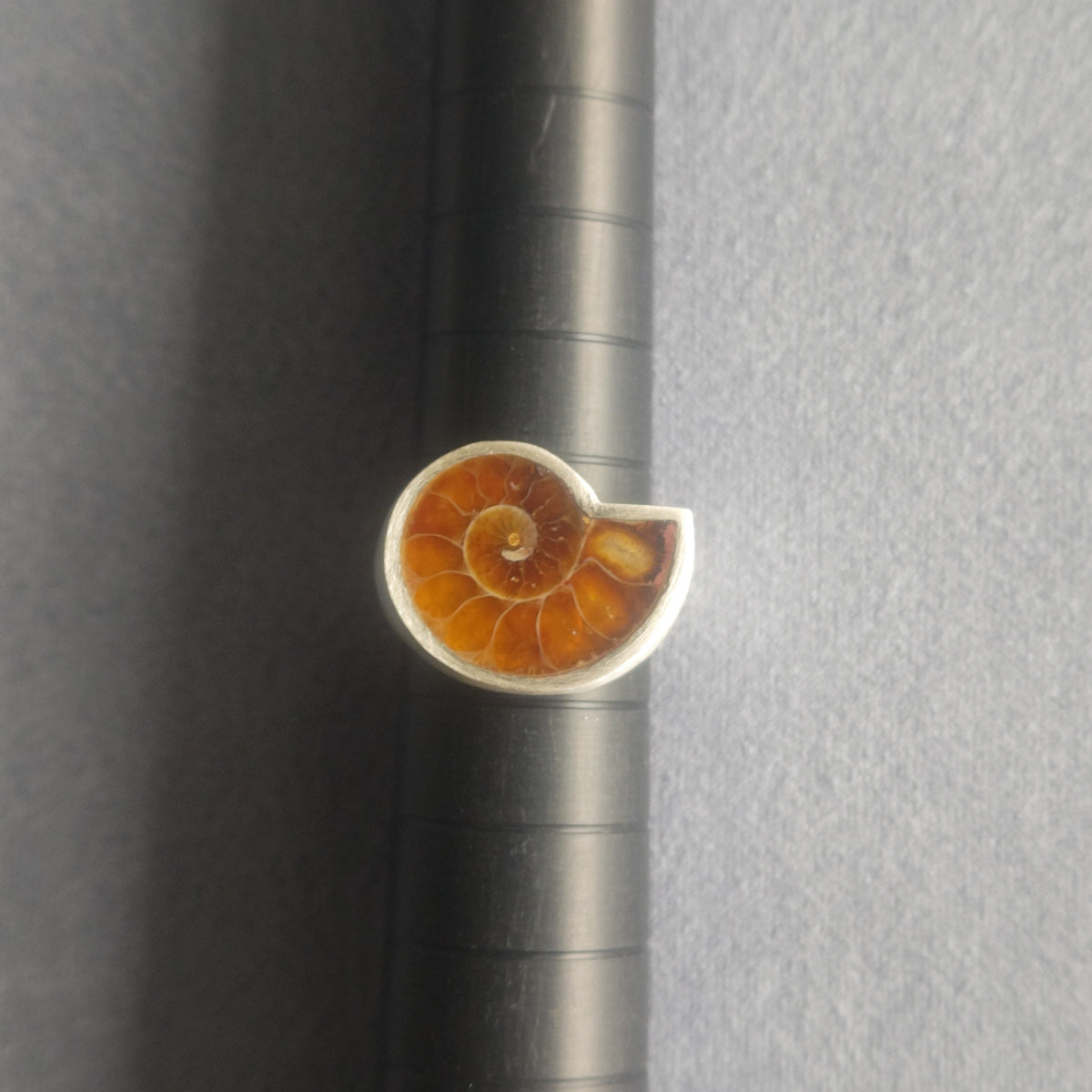 No.0035 Ammonite Signet Ring #9