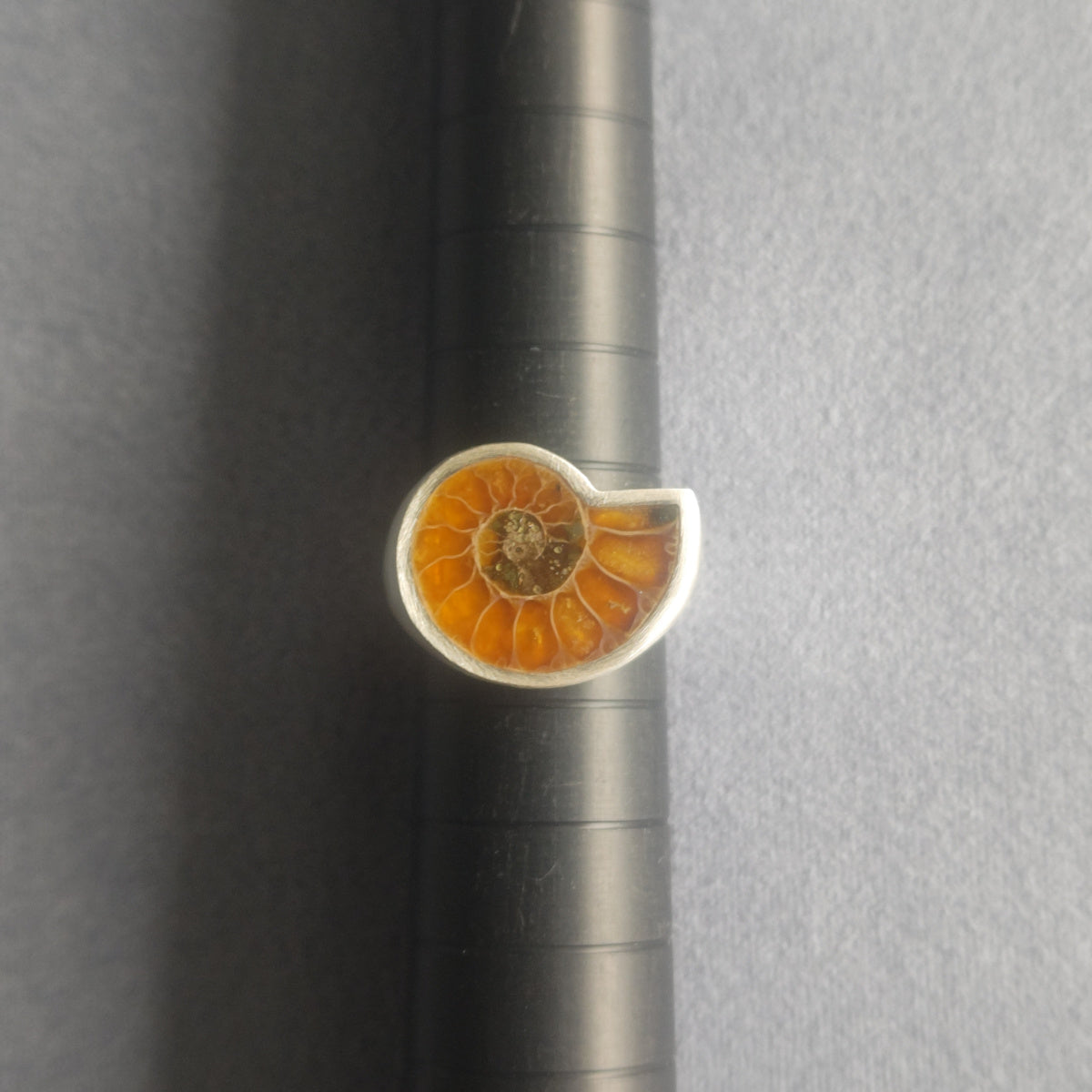 No.0036 Ammonite Signet Ring #10