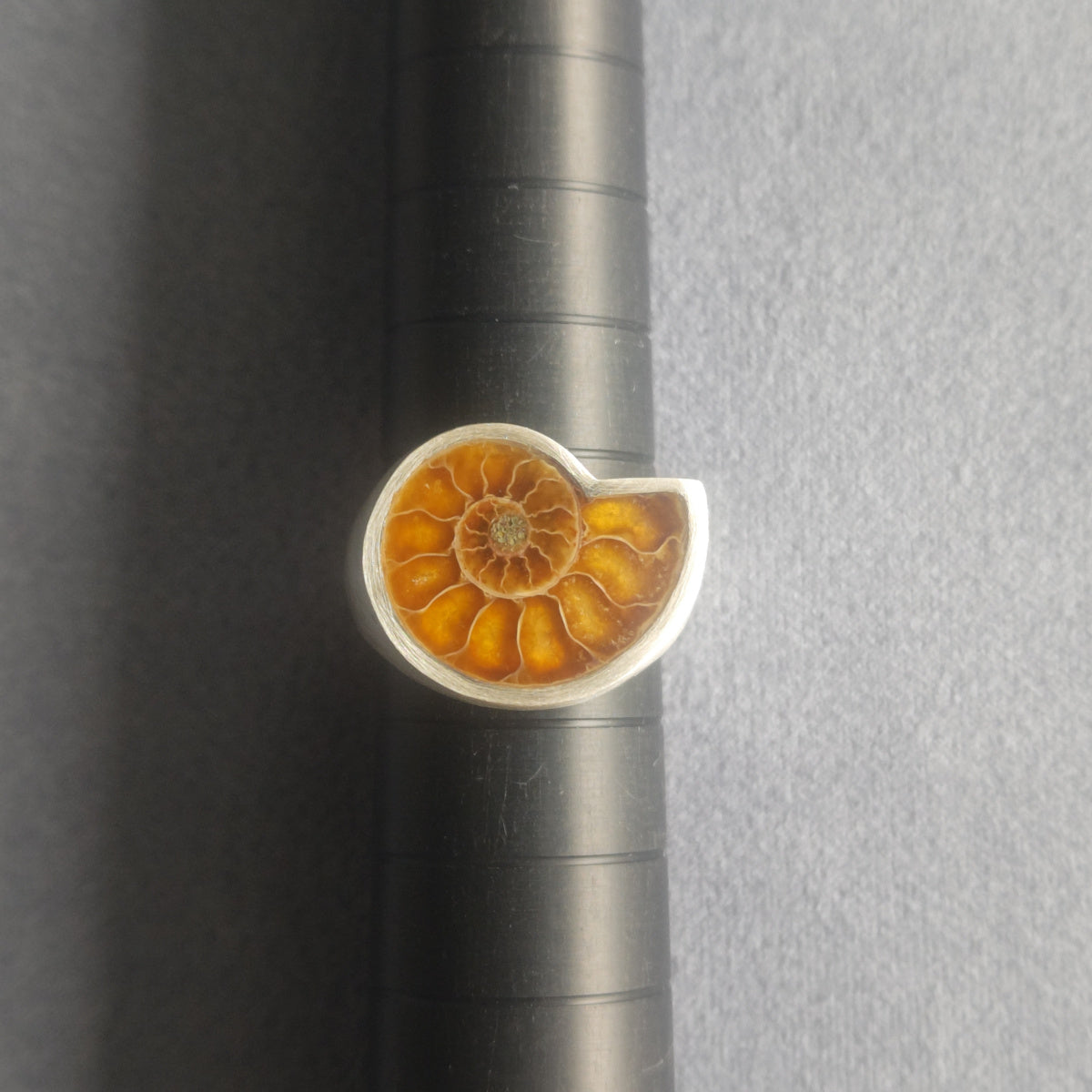 No.0037 Ammonite Signet Ring #11