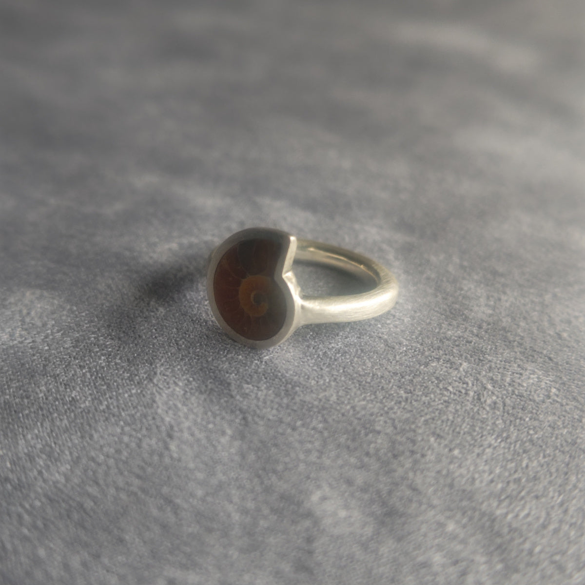 No.0058 Ammonite Ring - Small #10