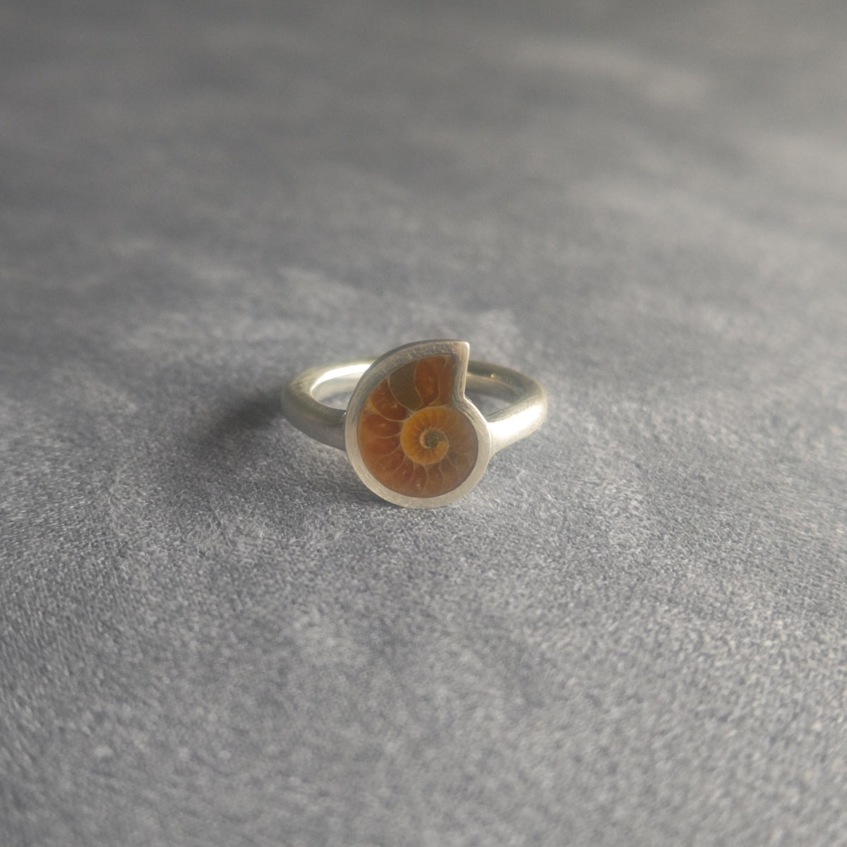 No.0058 Ammonite Ring - Small #10