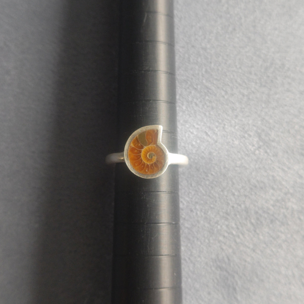 No.0058 Ammonite Ring - Small #10