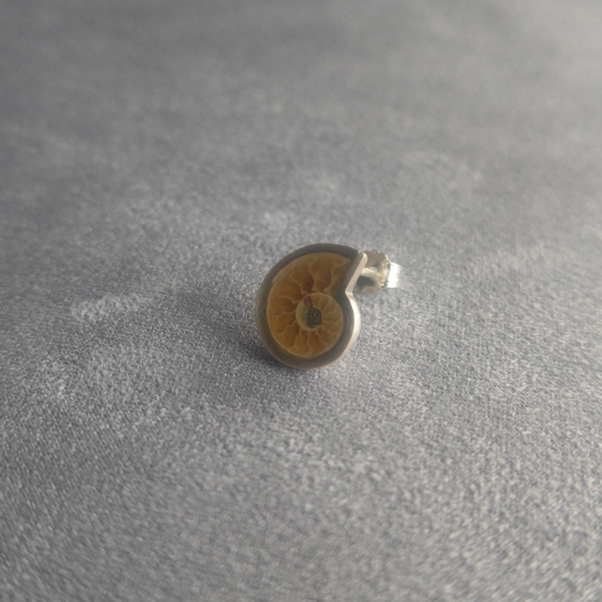 No.0051 アンモナイト シングル ピアス - Small
