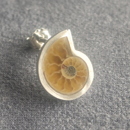 No.0051 アンモナイト シングル ピアス - Small