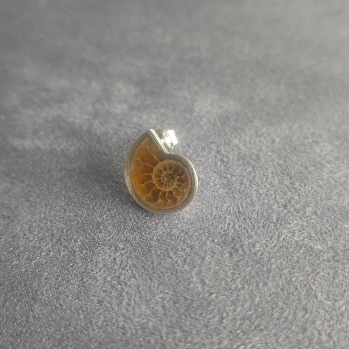 No.0053 アンモナイト シングル ピアス - Small