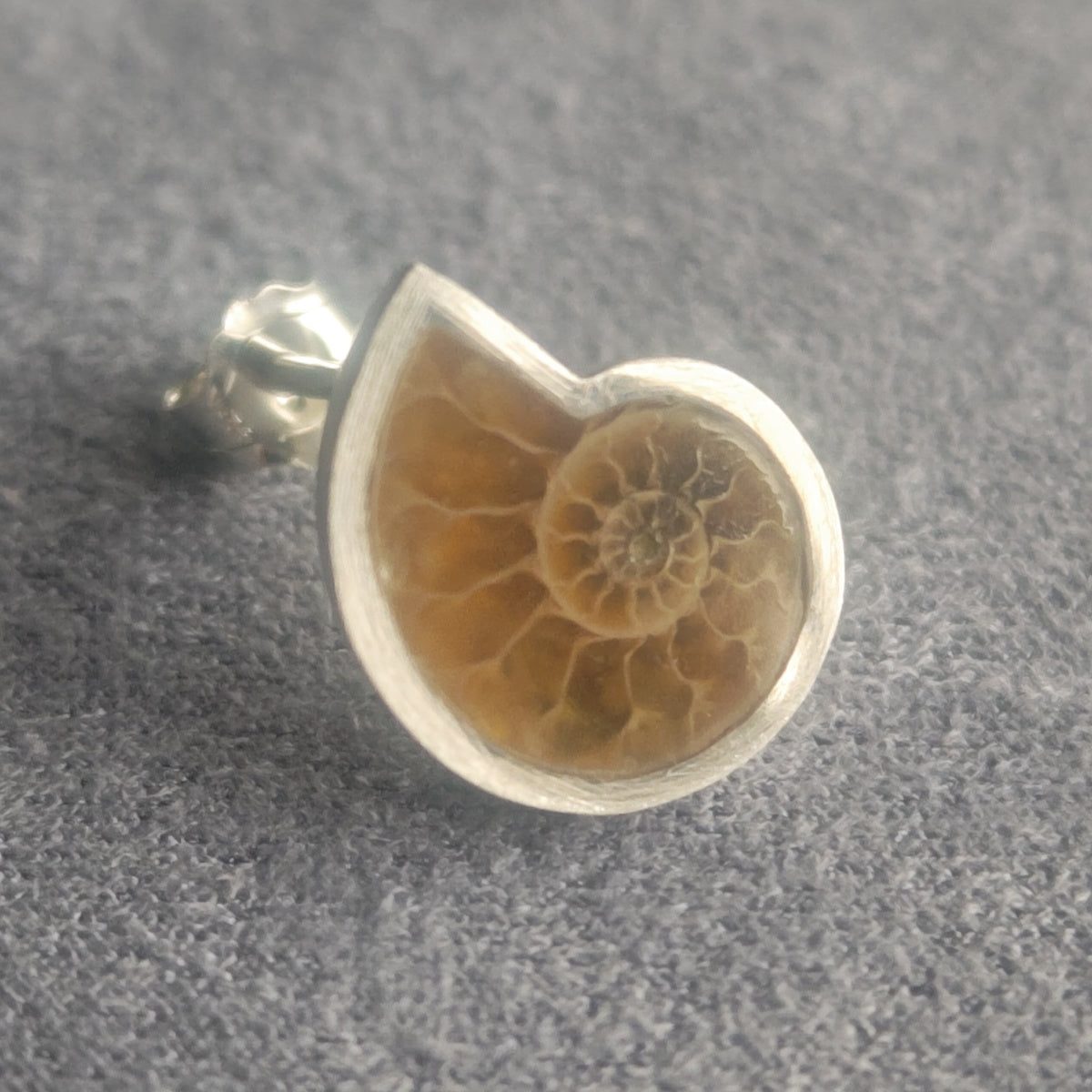 No.0053 アンモナイト シングル ピアス - Small