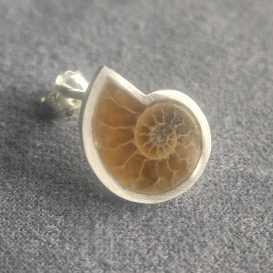 No.0053 アンモナイト シングル ピアス - Small