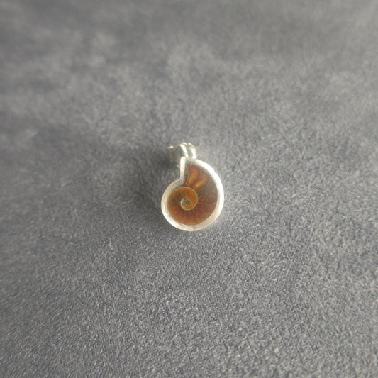 No.0048 アンモナイト シングル ピアス - Small