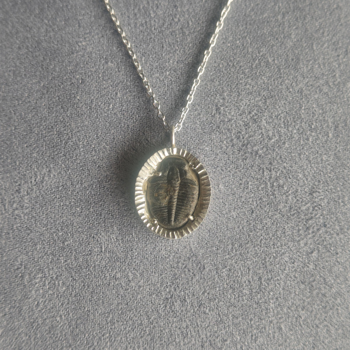 No.0063 Trilobite Necklace
