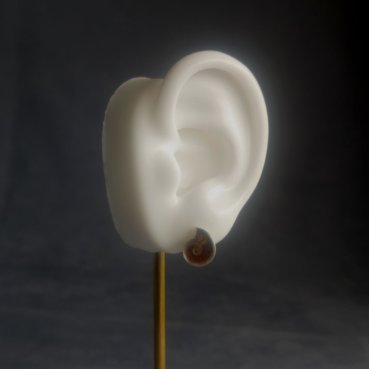 No.0048 アンモナイト シングル ピアス - Small