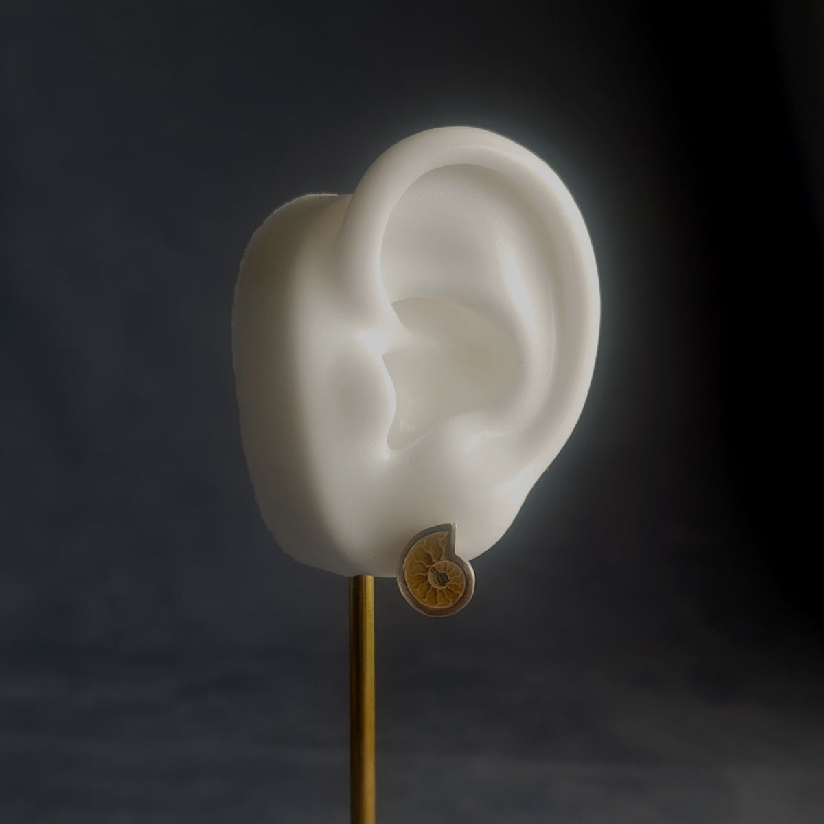 No.0051 アンモナイト シングル ピアス - Small