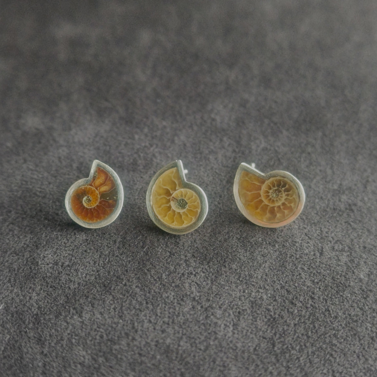 No.0048 アンモナイト シングル ピアス - Small