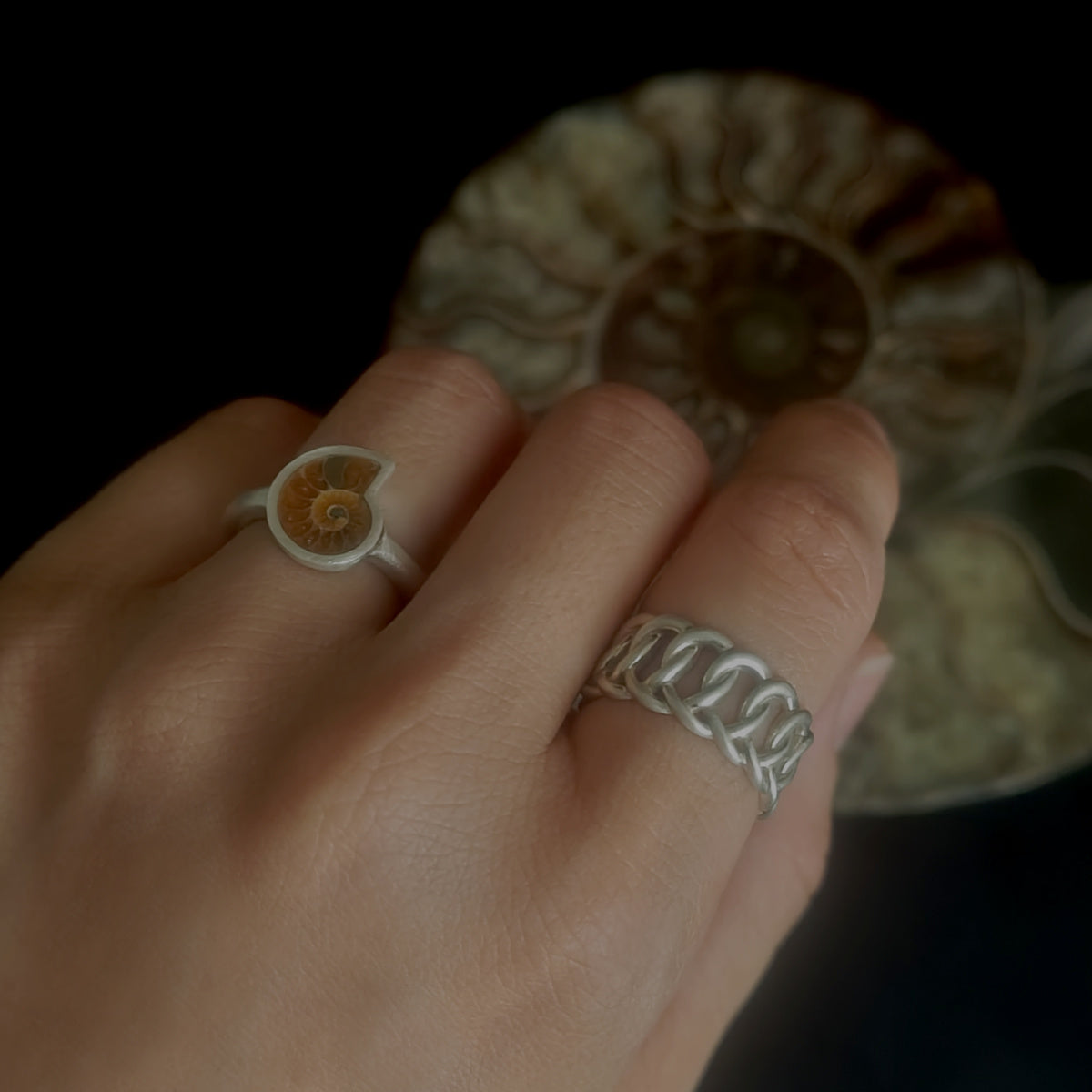 No.0058 Ammonite Ring - Small #10