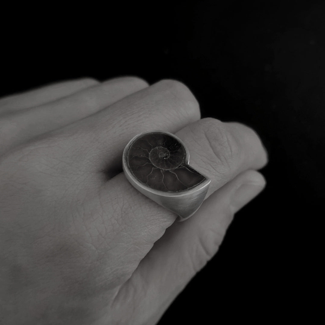 No.0007 アンモナイト シグネットリング #17